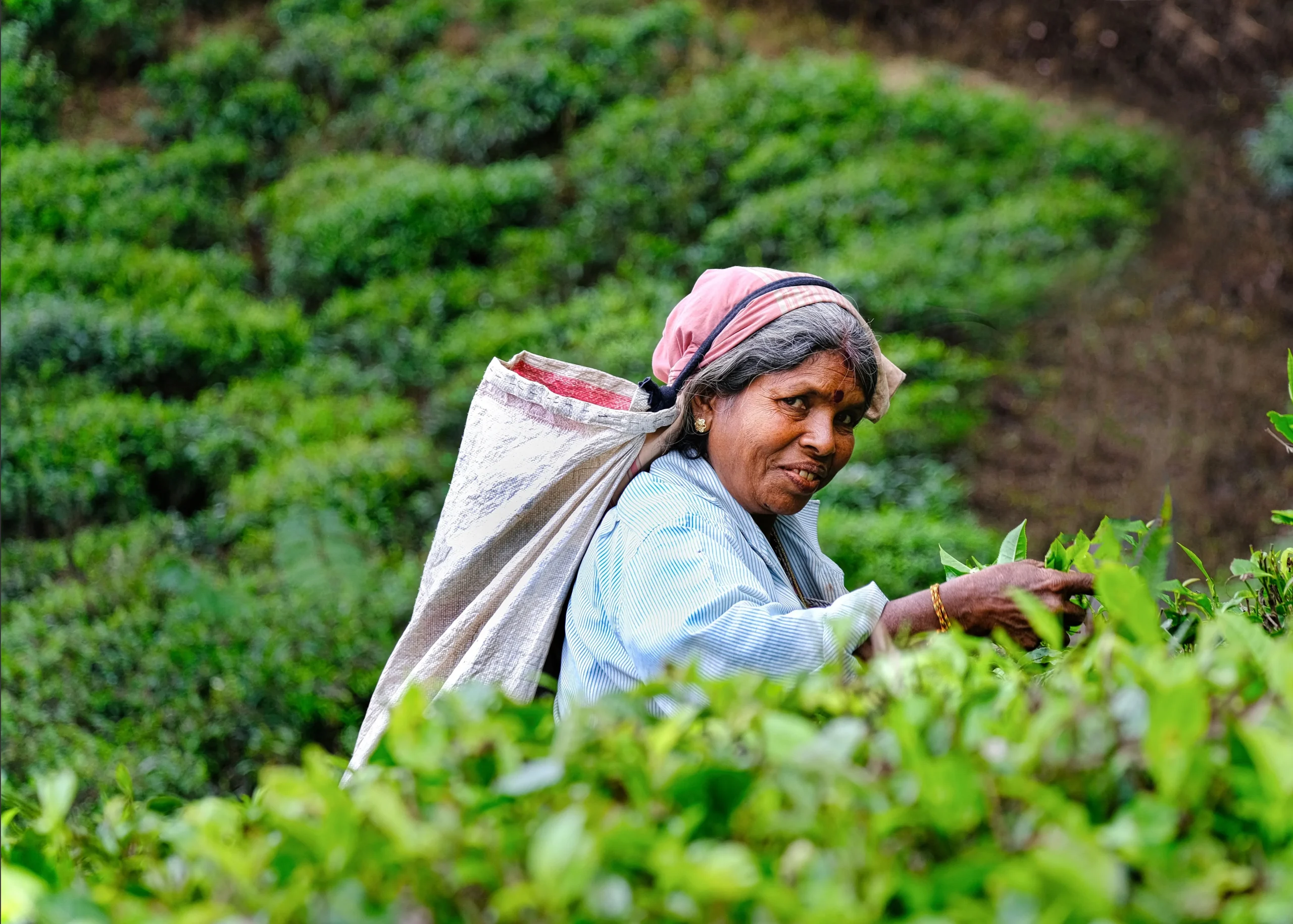 Flavours of Sri Lanka