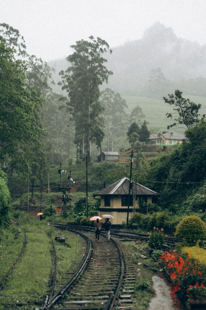 Should You Visit Sri Lanka in the Off-Season?